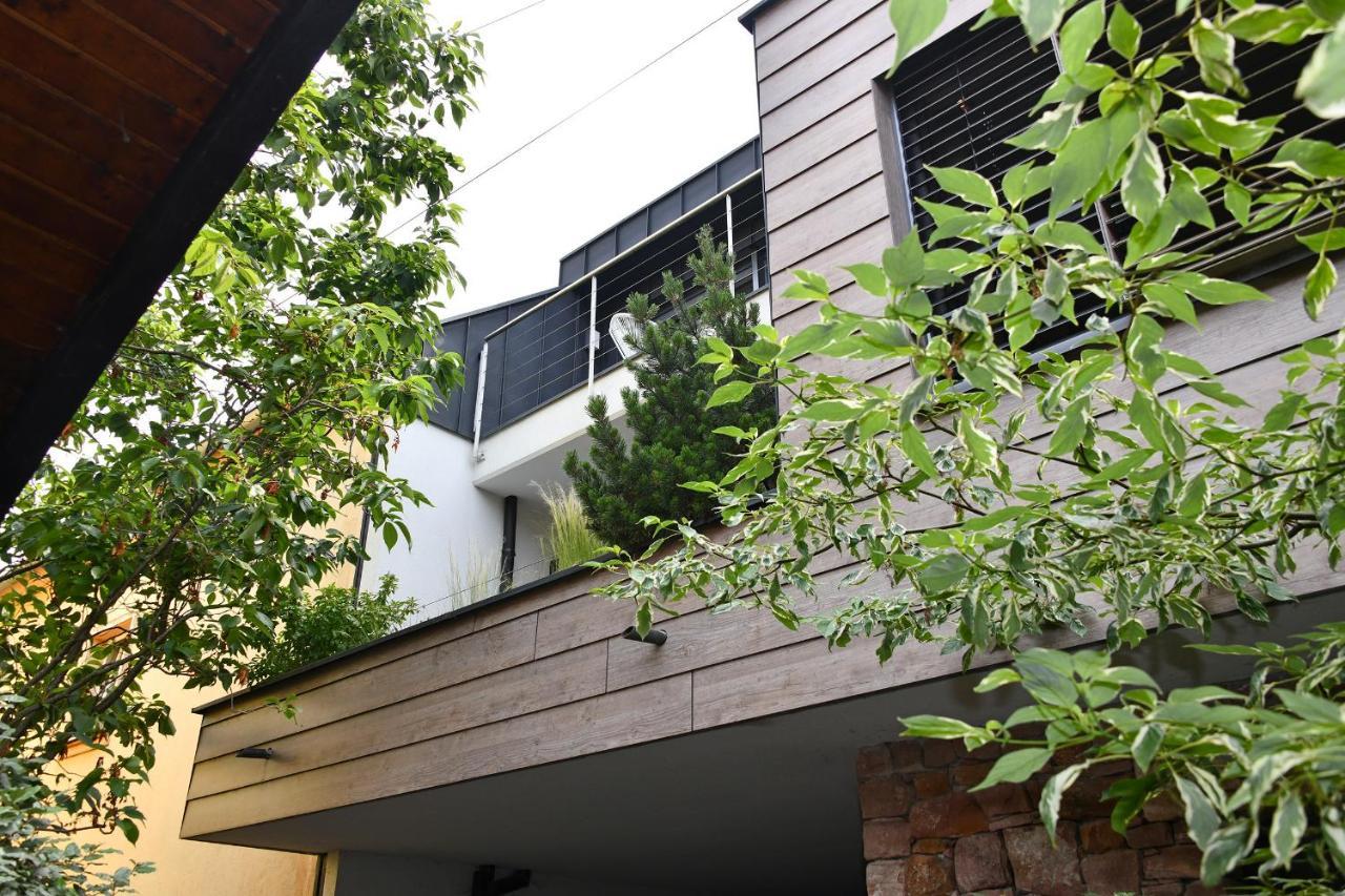 Gite Contemporain L'Hirondelle Guémar Exterior photo